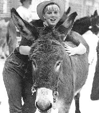 Ann Gibson